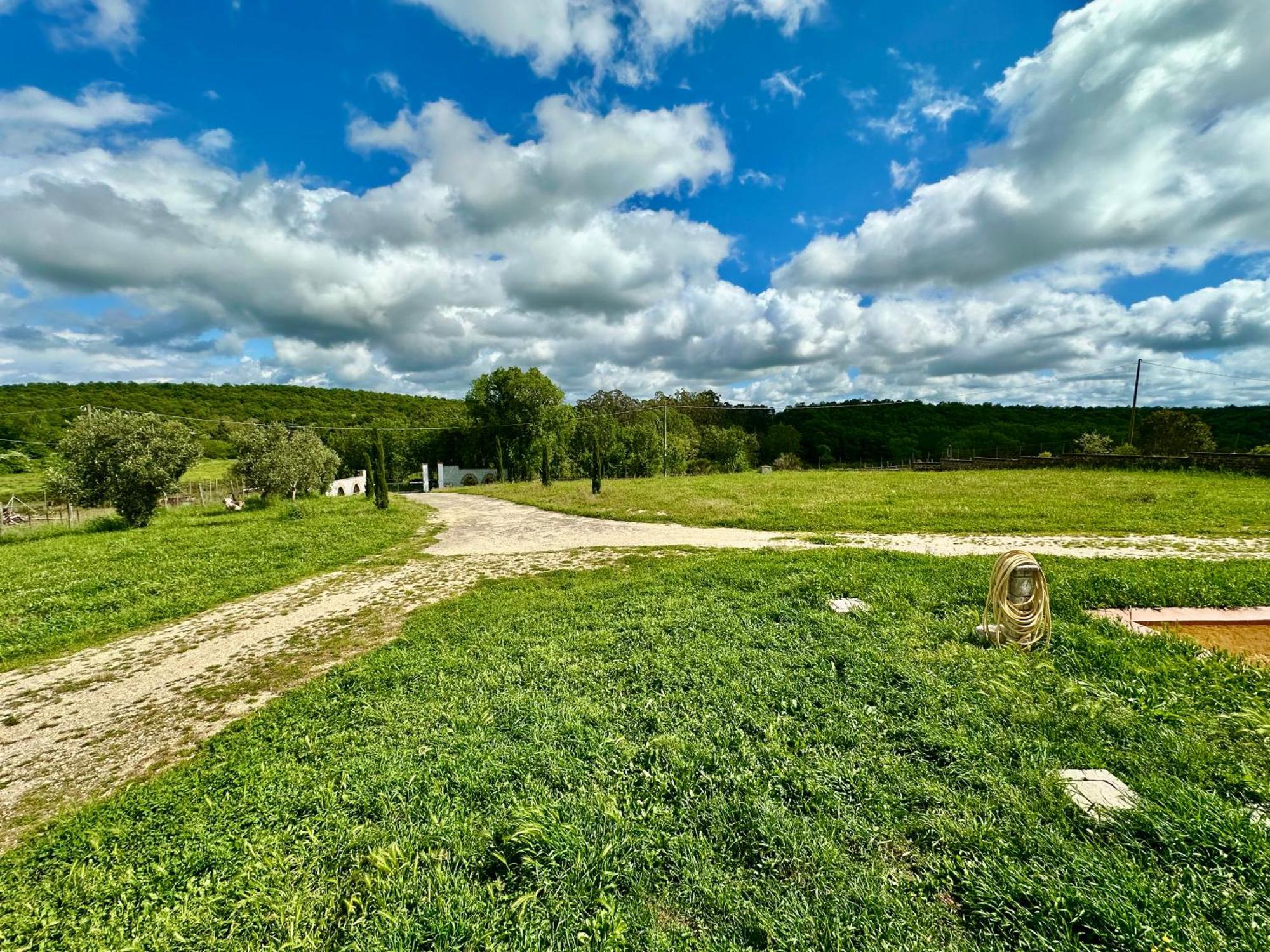 Villa Tuscia Apartments Tuscania Zewnętrze zdjęcie